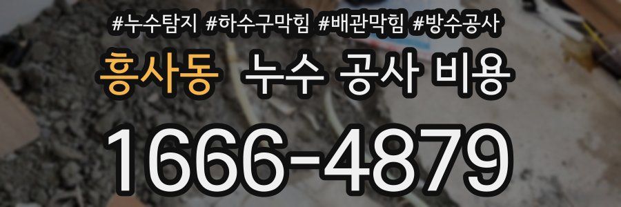 흥사동 누수 공사 비용