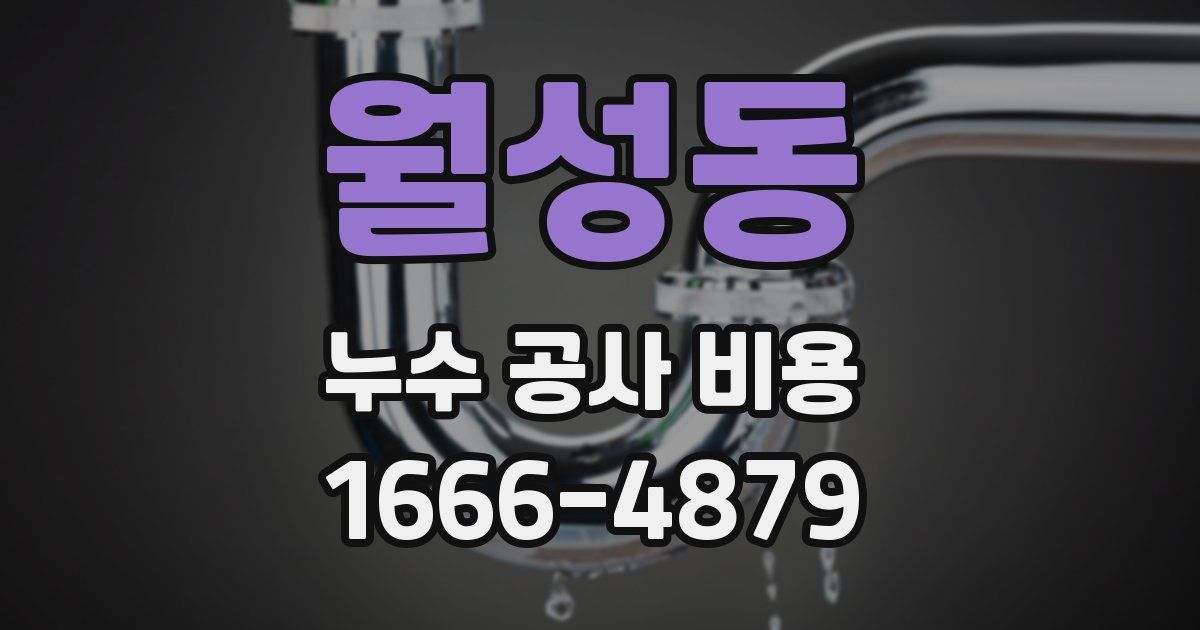 월성동 누수 공사 비용