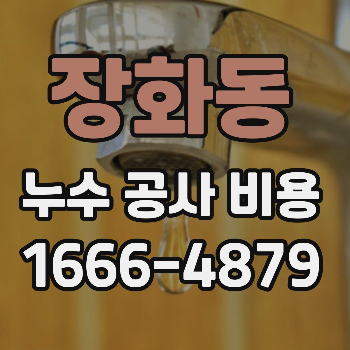 장화동 누수 공사 비용