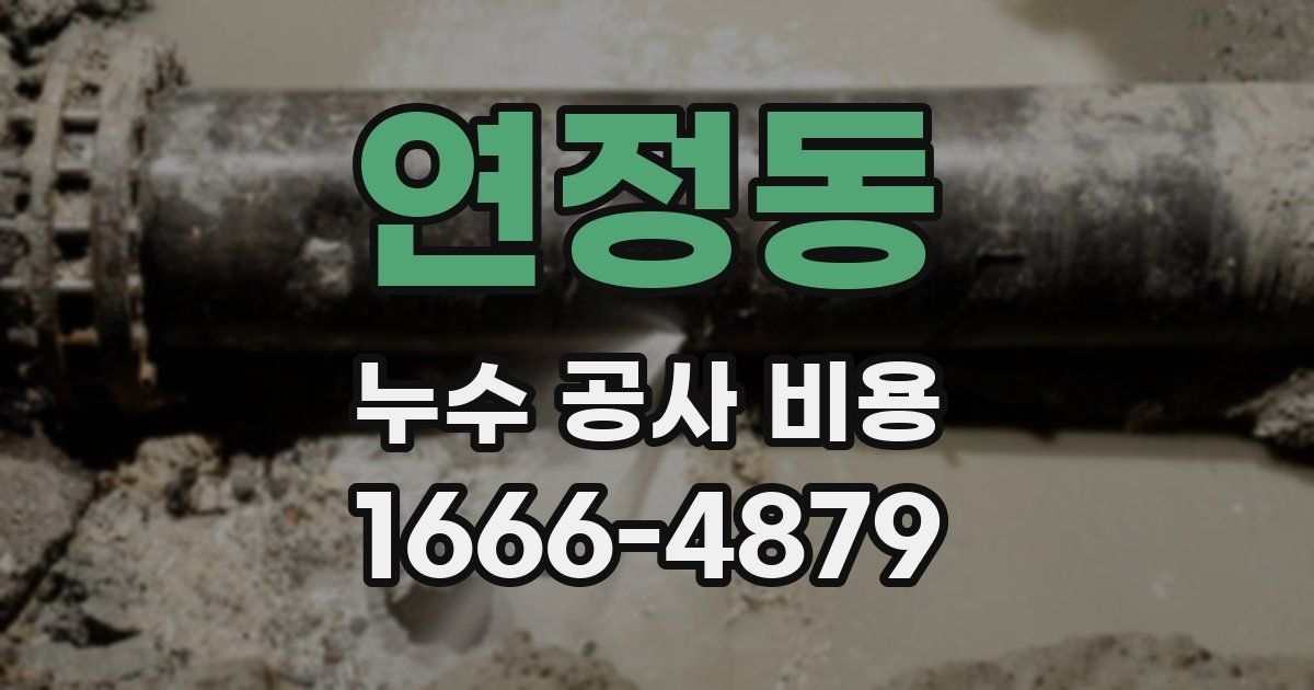 연정동 누수 공사 비용