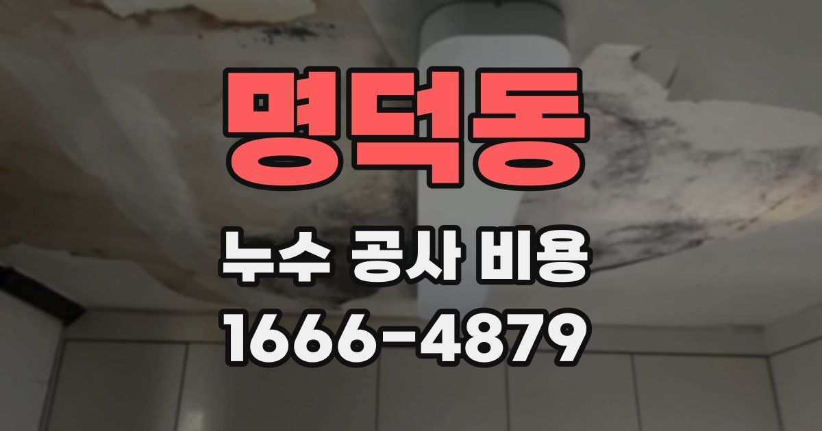 명덕동 누수 공사 비용