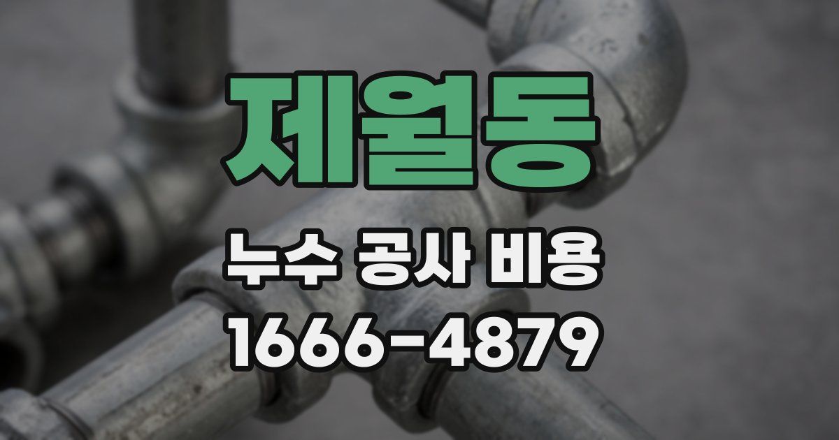 제월동 누수 공사 비용