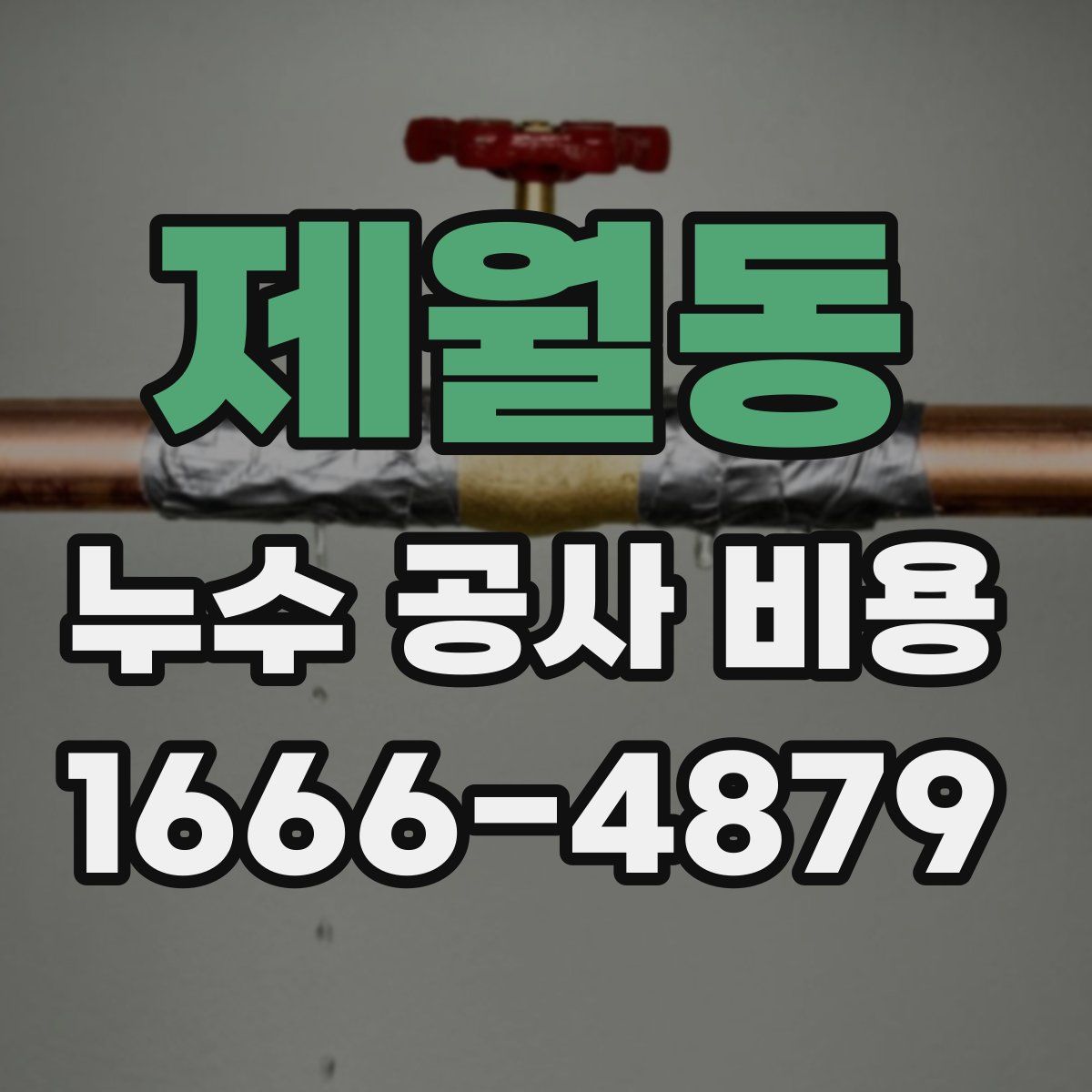 제월동 누수 공사 비용