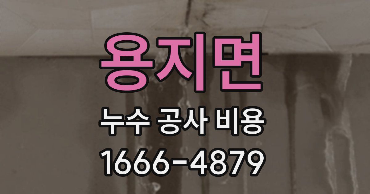 용지면 누수 공사 비용
