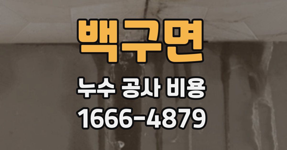 백구면 누수 공사 비용