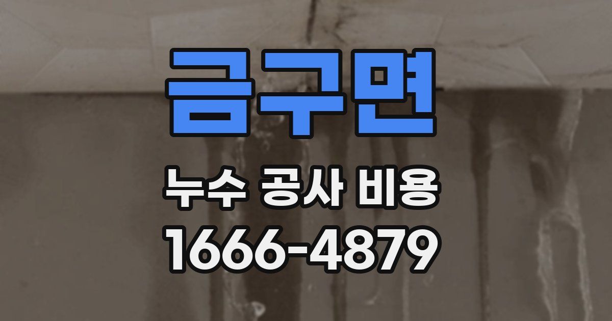 금구면 누수 공사 비용