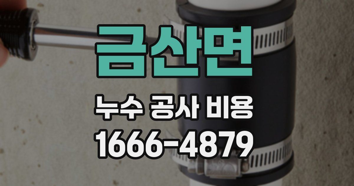 금산면 누수 공사 비용