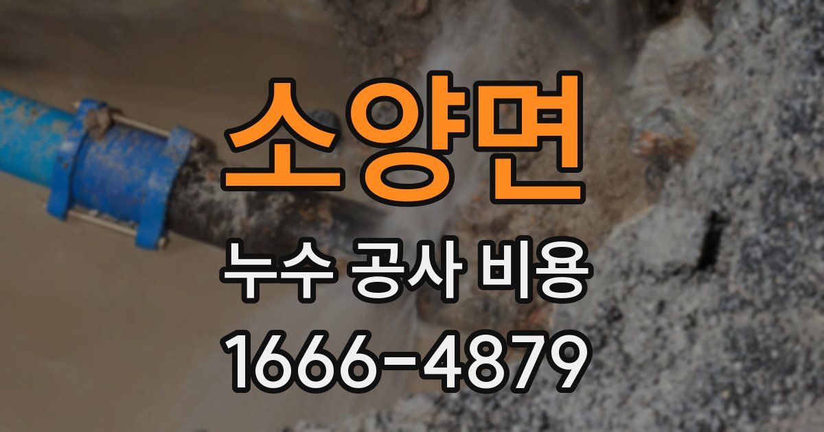소양면 누수 공사 비용