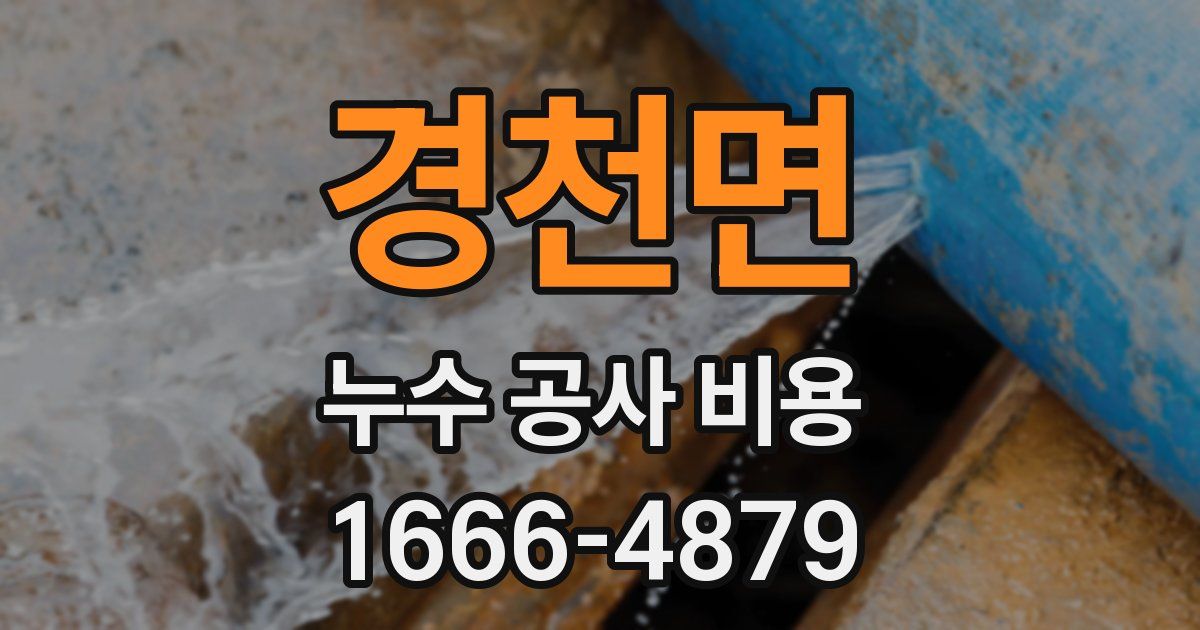 경천면 누수 공사 비용