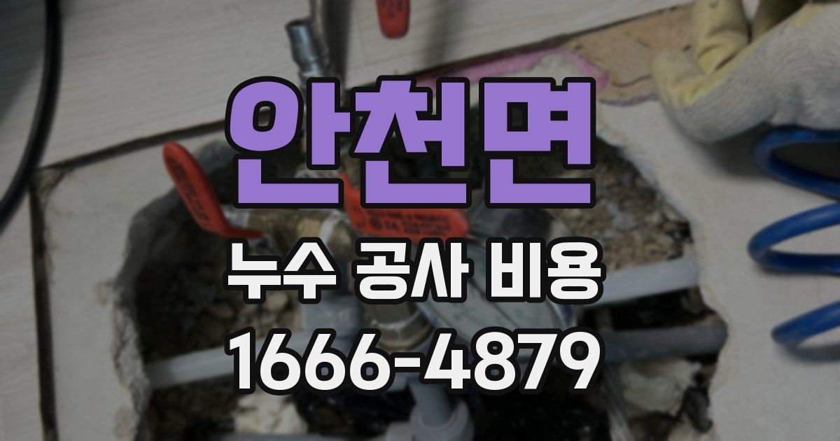 안천면 누수 공사 비용
