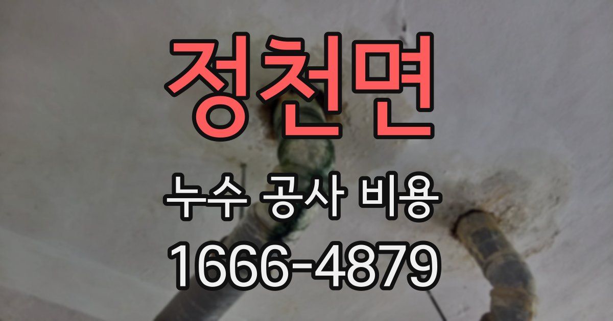 정천면 누수 공사 비용
