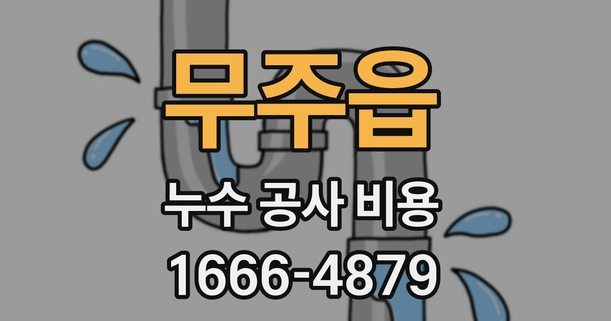 무주읍 누수 공사 비용