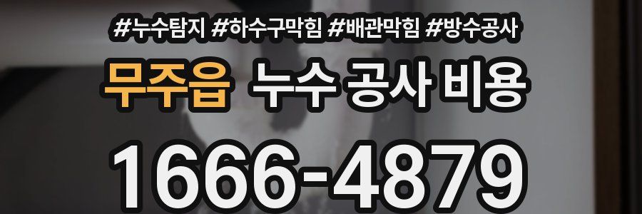 무주읍 누수 공사 비용