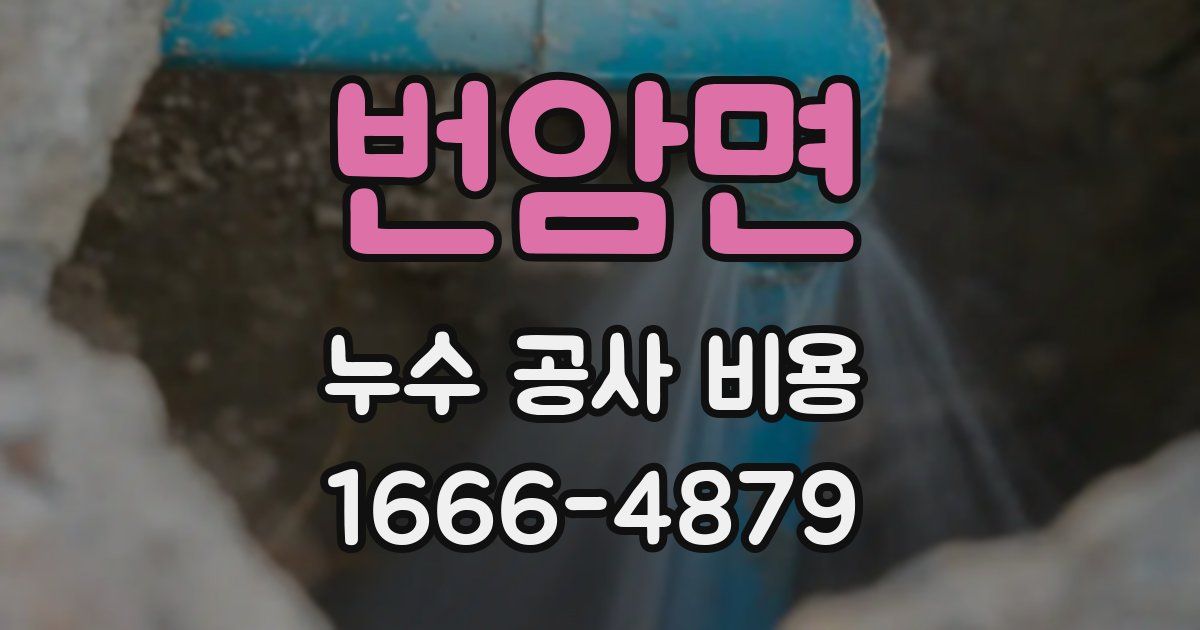 번암면 누수 공사 비용