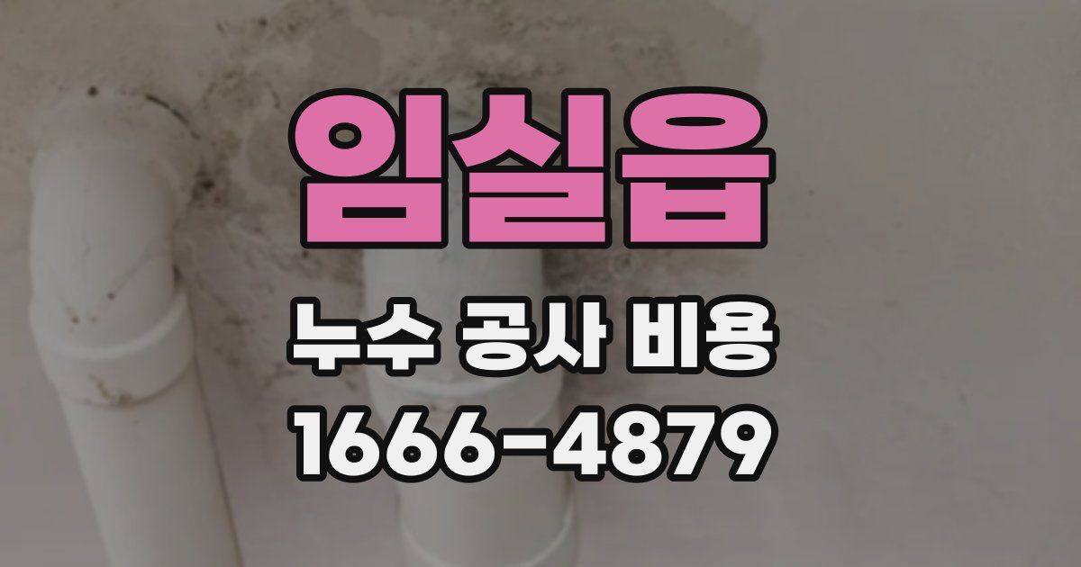 임실읍 누수 공사 비용