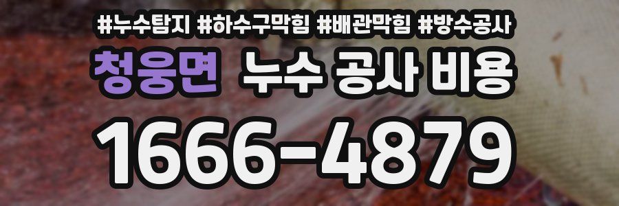 청웅면 누수 공사 비용