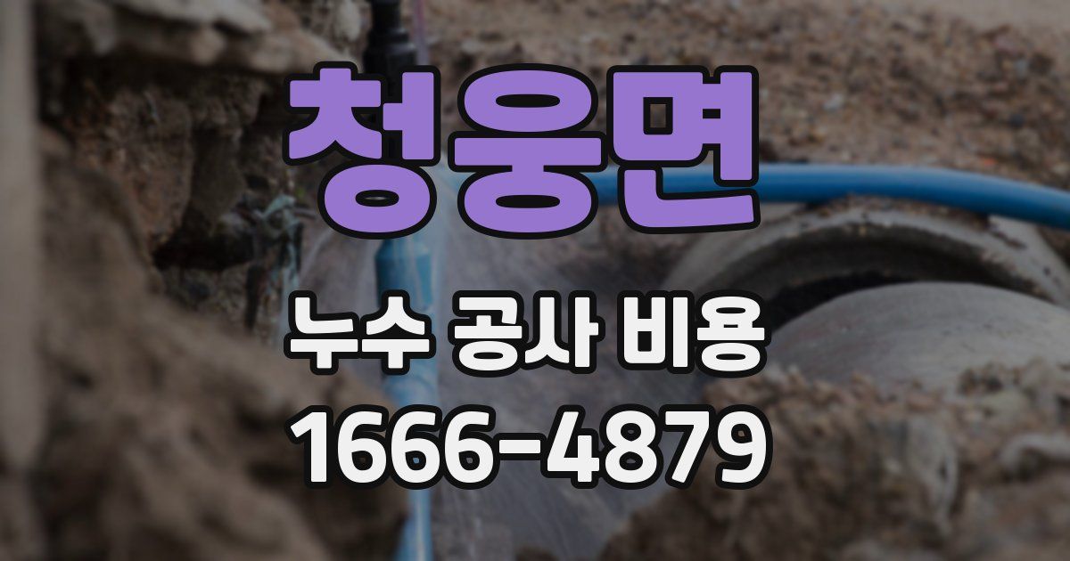 청웅면 누수 공사 비용