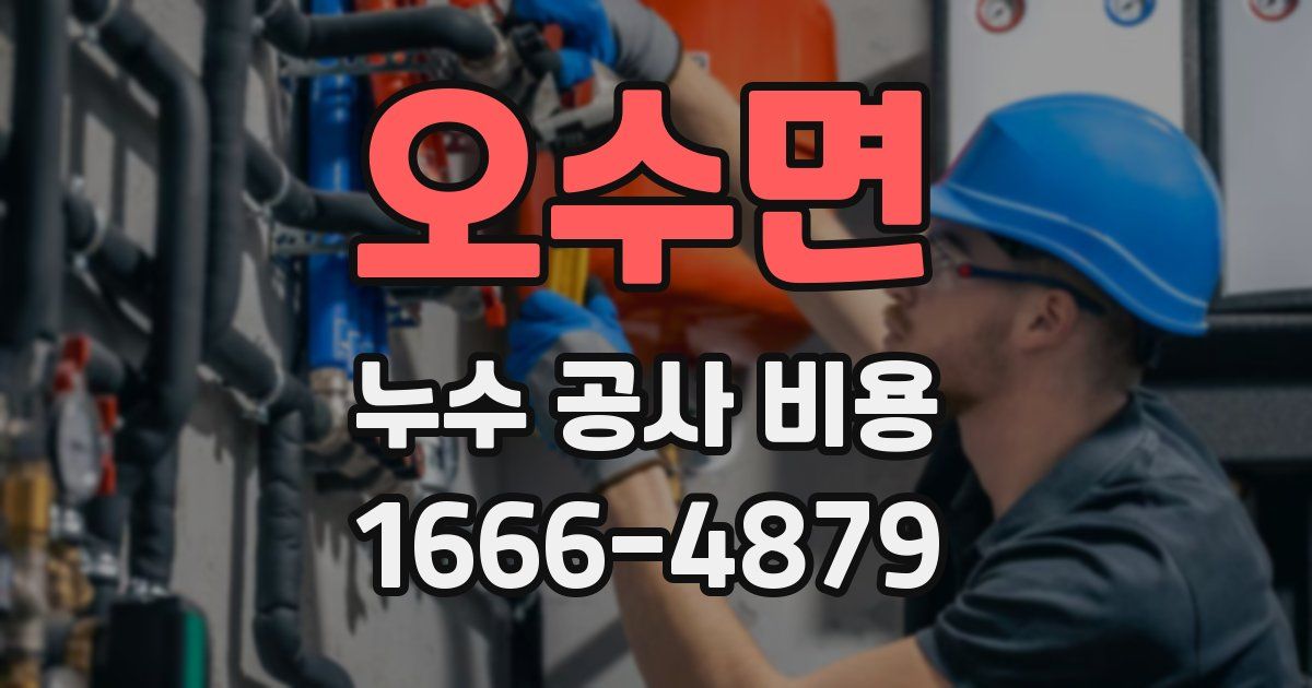 오수면 누수 공사 비용