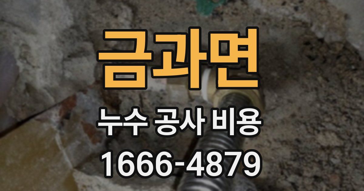 금과면 누수 공사 비용