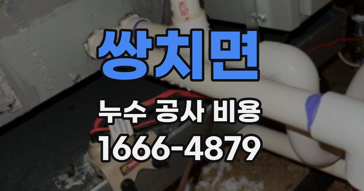 쌍치면 누수 공사 비용