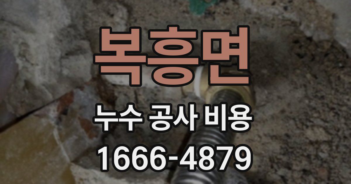 복흥면 누수 공사 비용