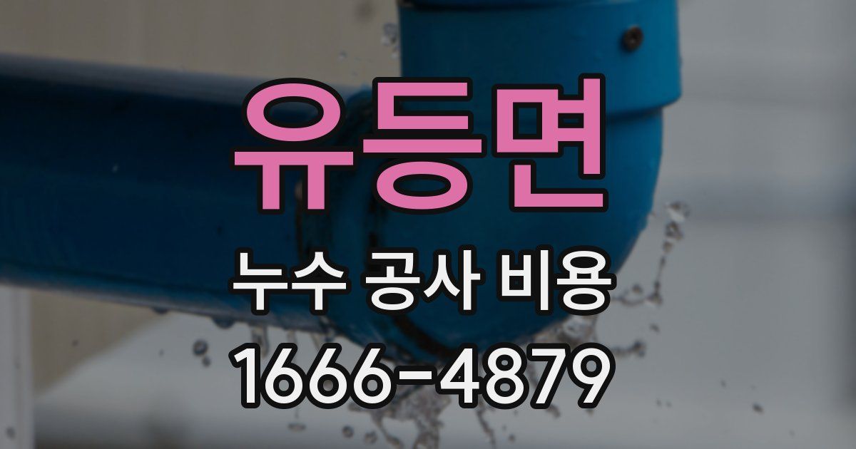유등면 누수 공사 비용