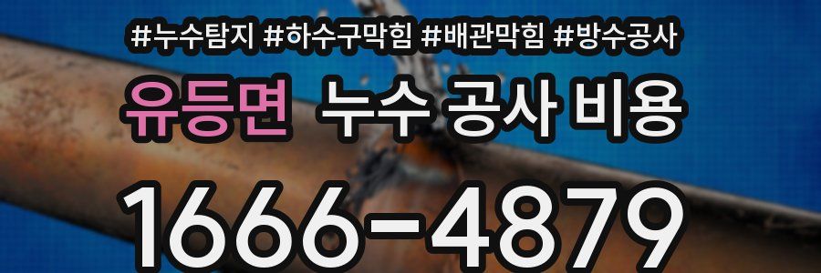 유등면 누수 공사 비용