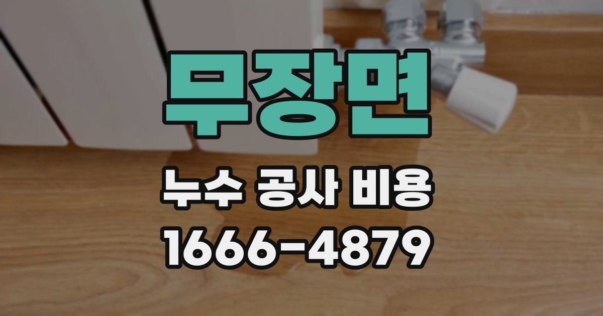 무장면 누수 공사 비용
