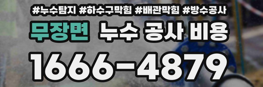 무장면 누수 공사 비용