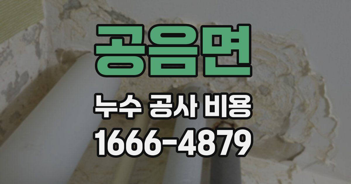 공음면 누수 공사 비용