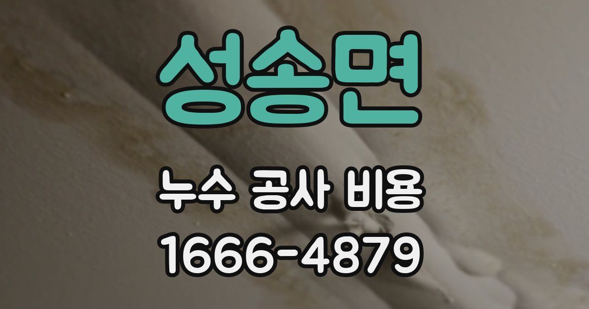성송면 누수 공사 비용