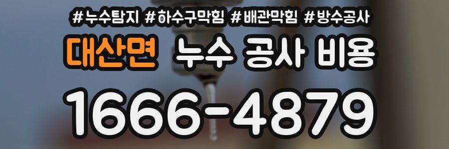 대산면 누수 공사 비용