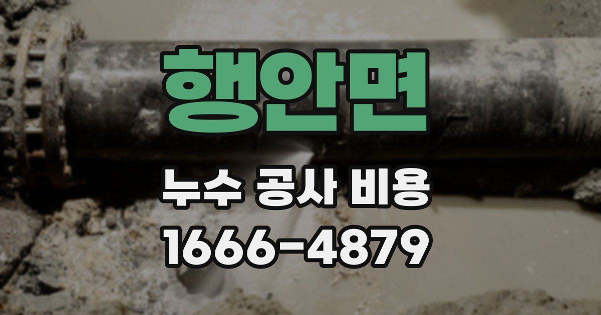 행안면 누수 공사 비용