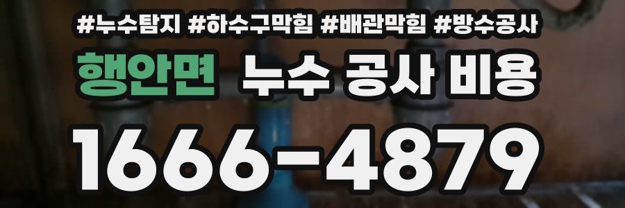 행안면 누수 공사 비용