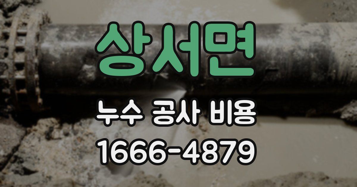 상서면 누수 공사 비용