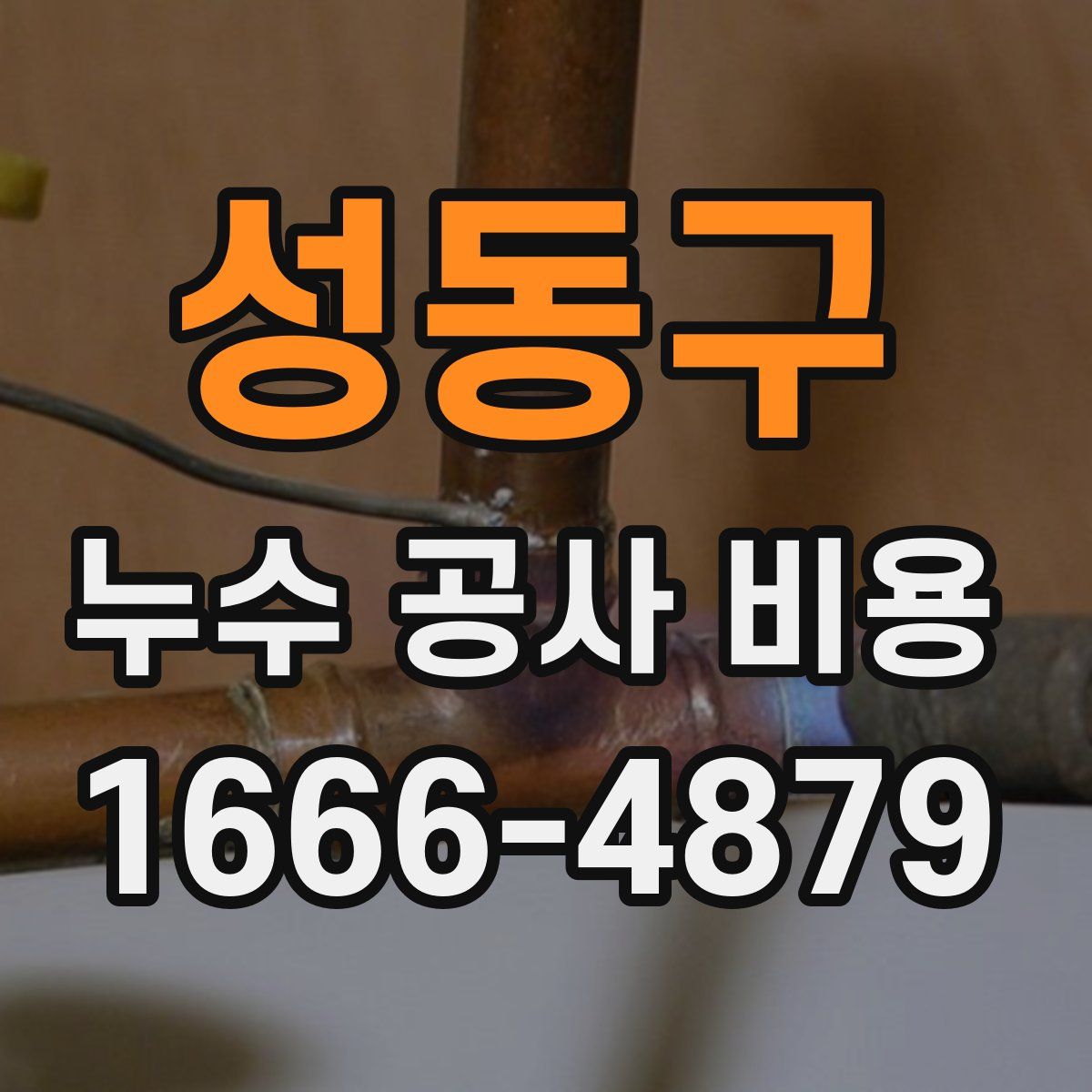 성동구 누수 공사 비용