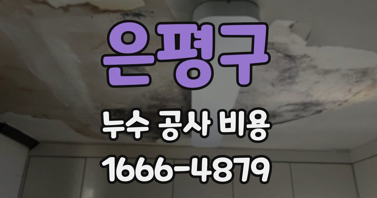 은평구 누수 공사 비용