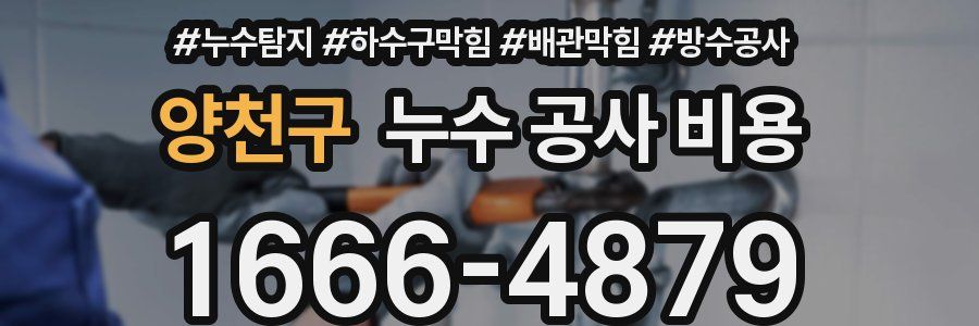 양천구 누수 공사 비용