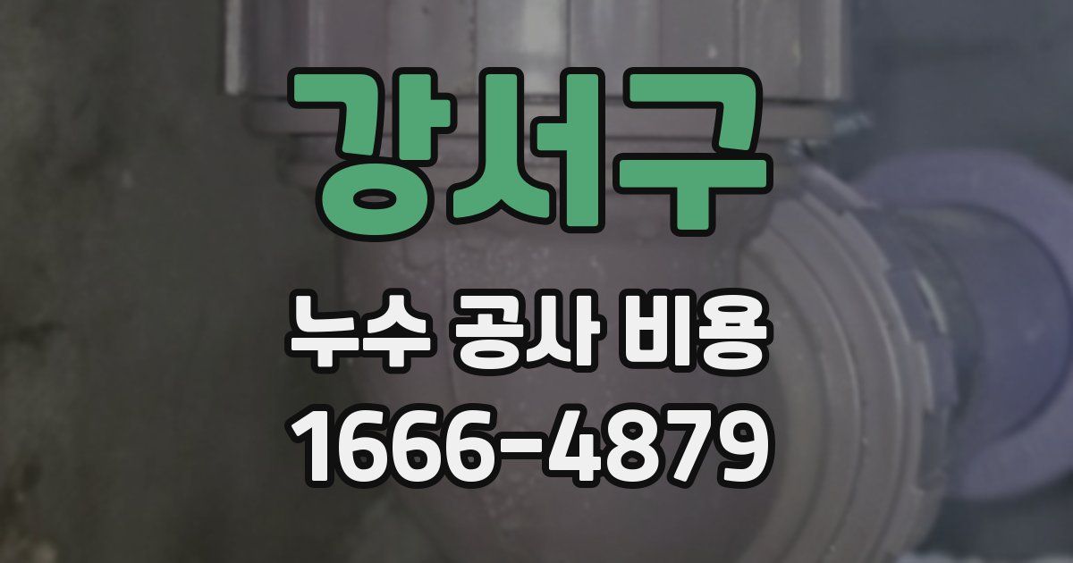 강서구 누수 공사 비용