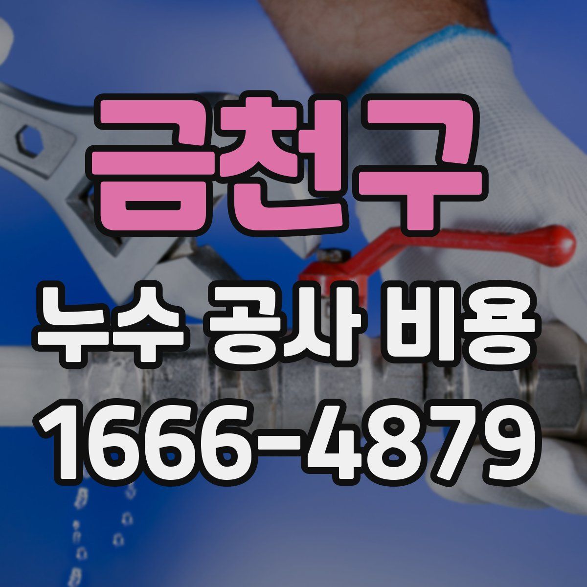 금천구 누수 공사 비용