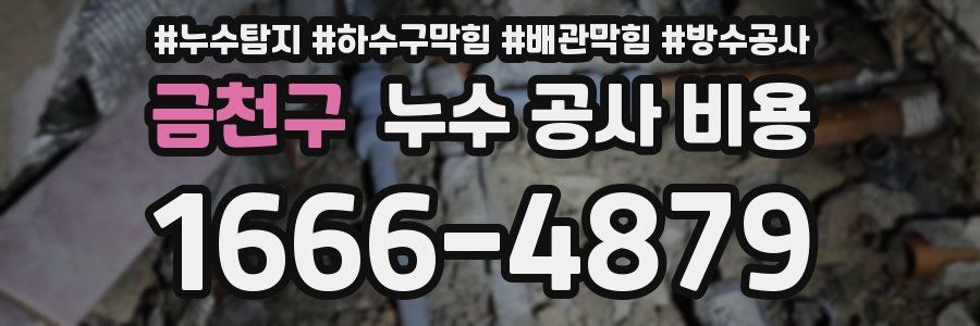금천구 누수 공사 비용
