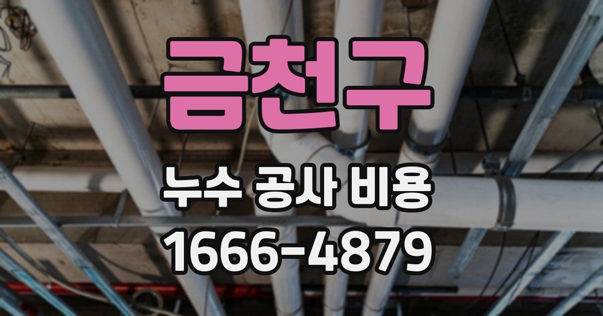 금천구 누수 공사 비용
