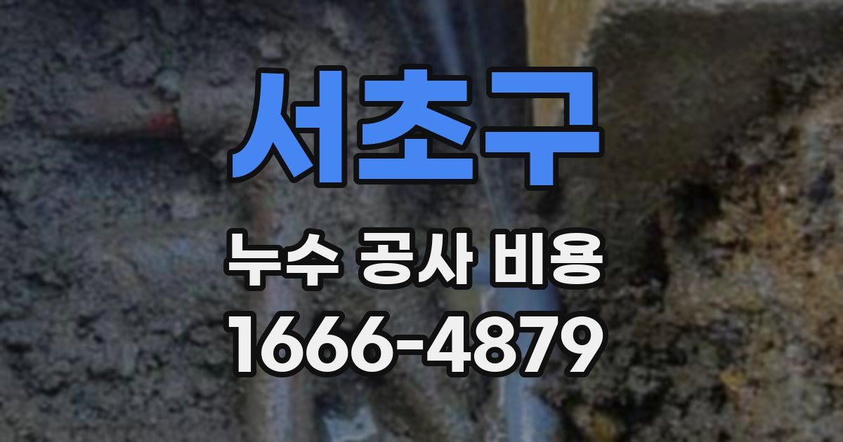 서초구 누수 공사 비용