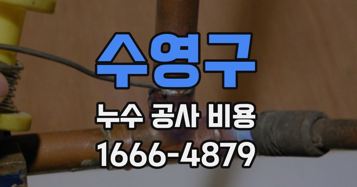 수영구 누수 공사 비용