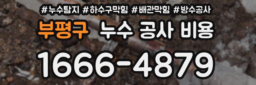 부평구 누수 공사 비용