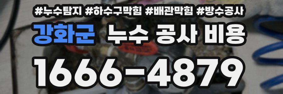강화군 누수 공사 비용