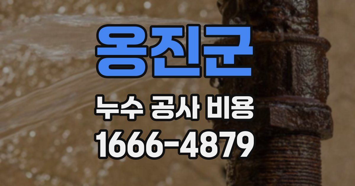 옹진군 누수 공사 비용