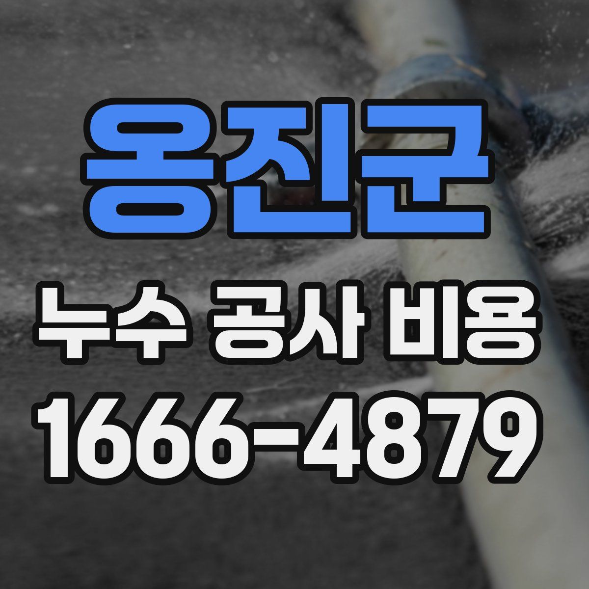 옹진군 누수 공사 비용