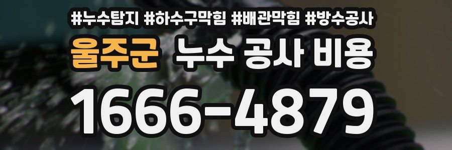 울주군 누수 공사 비용