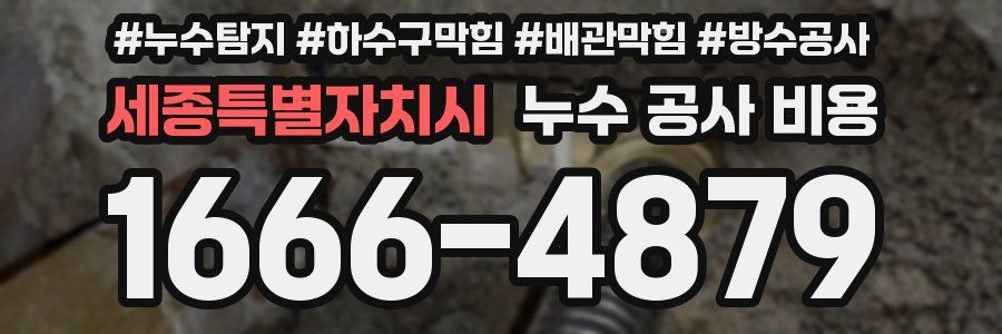 세종특별자치시 누수 공사 비용